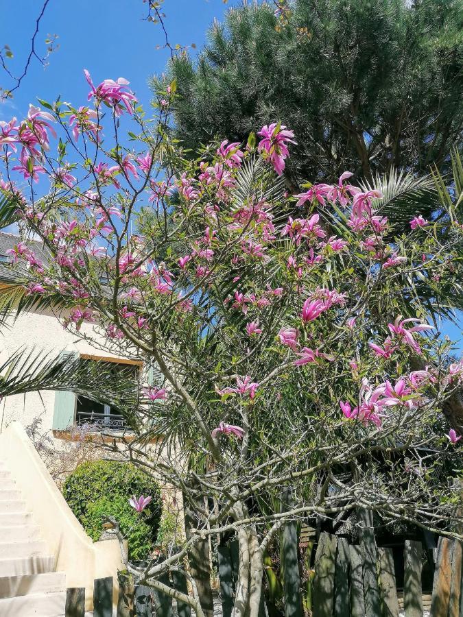 Guest House Dans Jardin Exotique Proche D'Une Voie Verte Морле Экстерьер фото